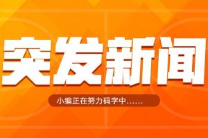 Shams：灰熊将阿尔达马送去独行侠 换AJ·约翰逊+1首轮+2次轮